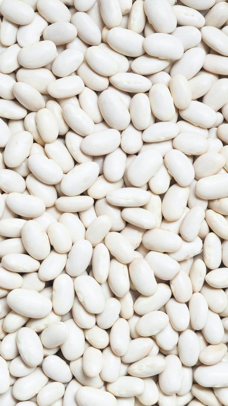 Poroto Blanco