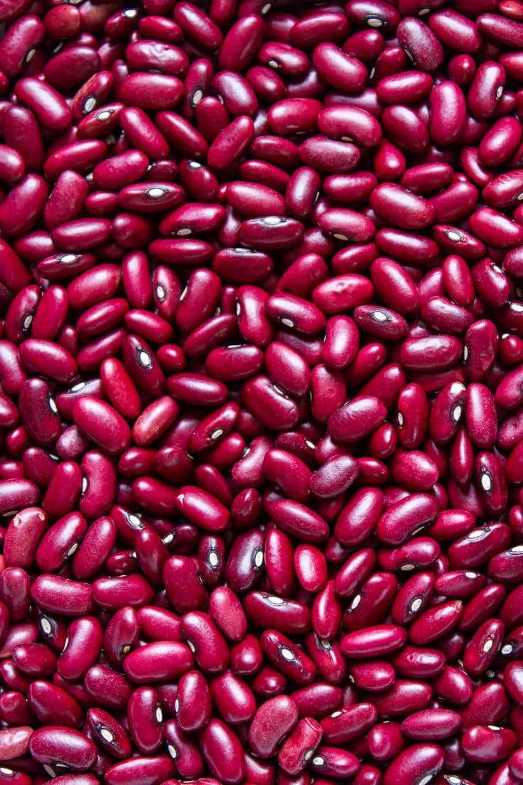 Poroto Rojo