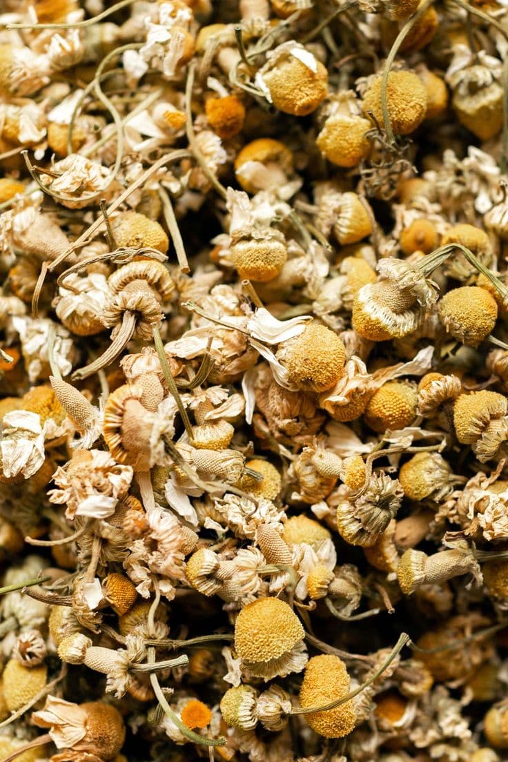 Granel Manzanilla (Infusion)